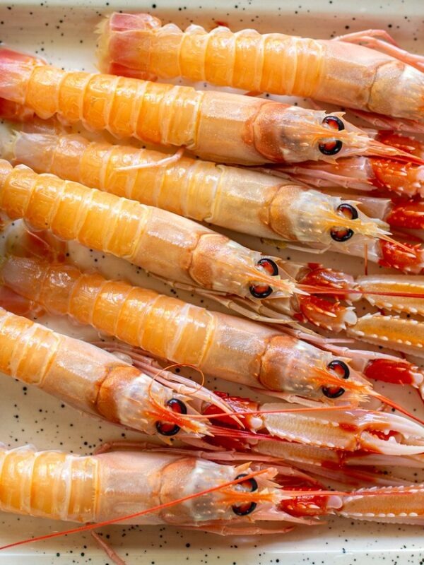 Il Piccolo Pescatore